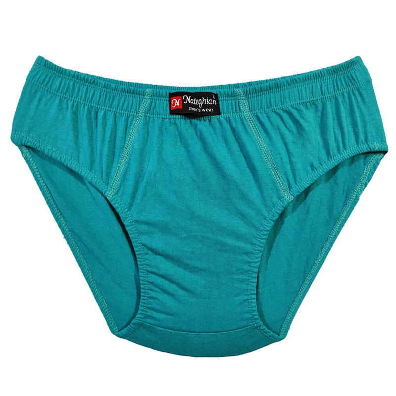 شورت مردانه پوشاک ناطقیان مدل نخ پنبه کد 01 مجموعه 5 عددی