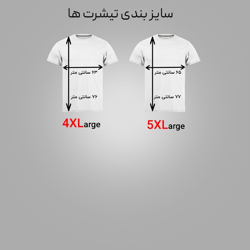 تی شرت آستین کوتاه مردانه مدل N1_1027 بسته 2 عددی