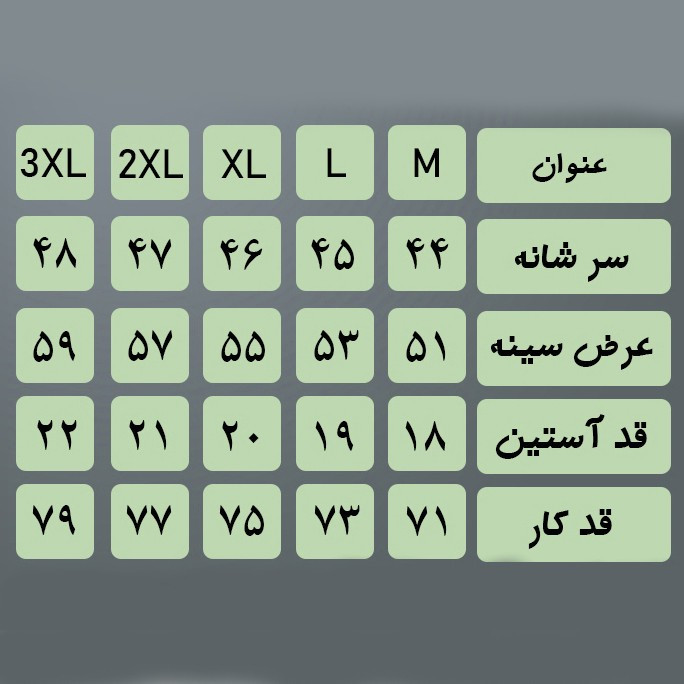 تیشرت آستین کوتاه مردانه مالدینی مدل t-502