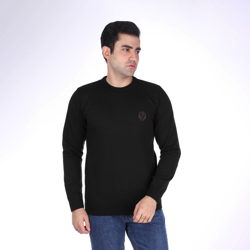 پلیور مردانه تریکو پاییزان مدل PR700