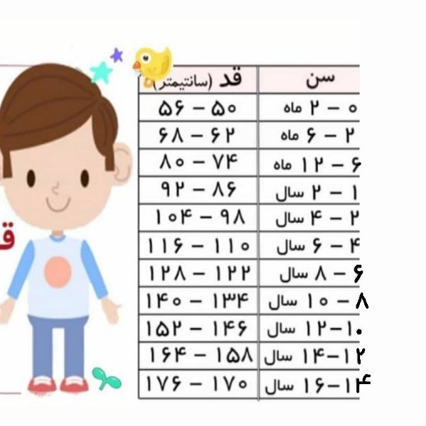 تاپ پسرانه لوپیلو مدل 19717338