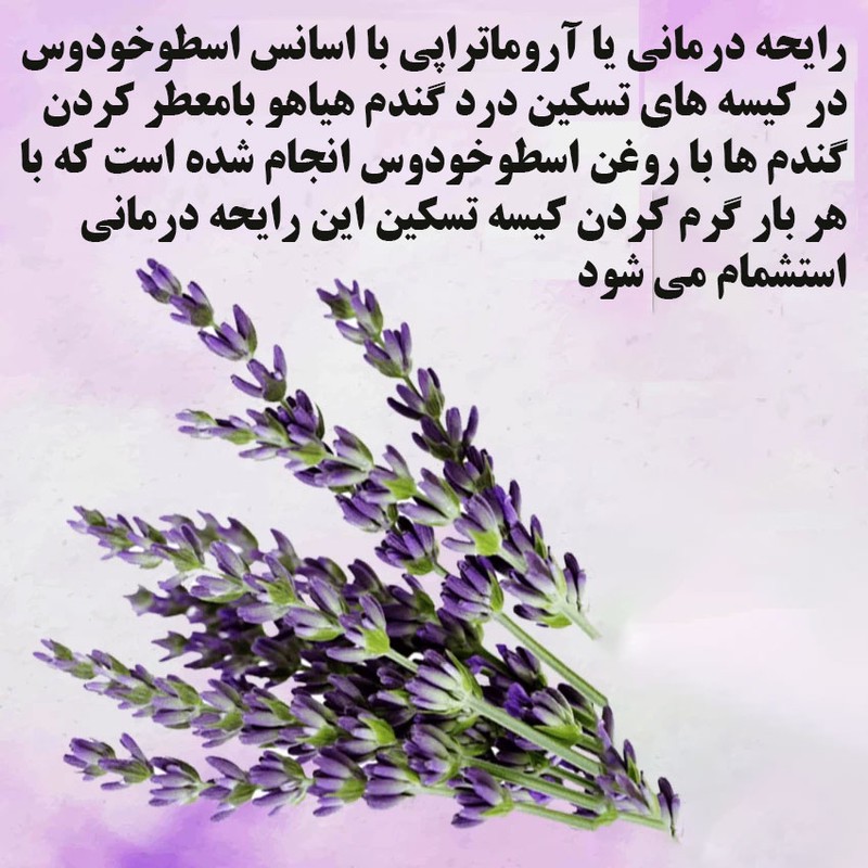 کیسه تسکین درد هیاهو مدل آروماتراپی اسانس اسطوخودوس کد Wheat-20x20-2