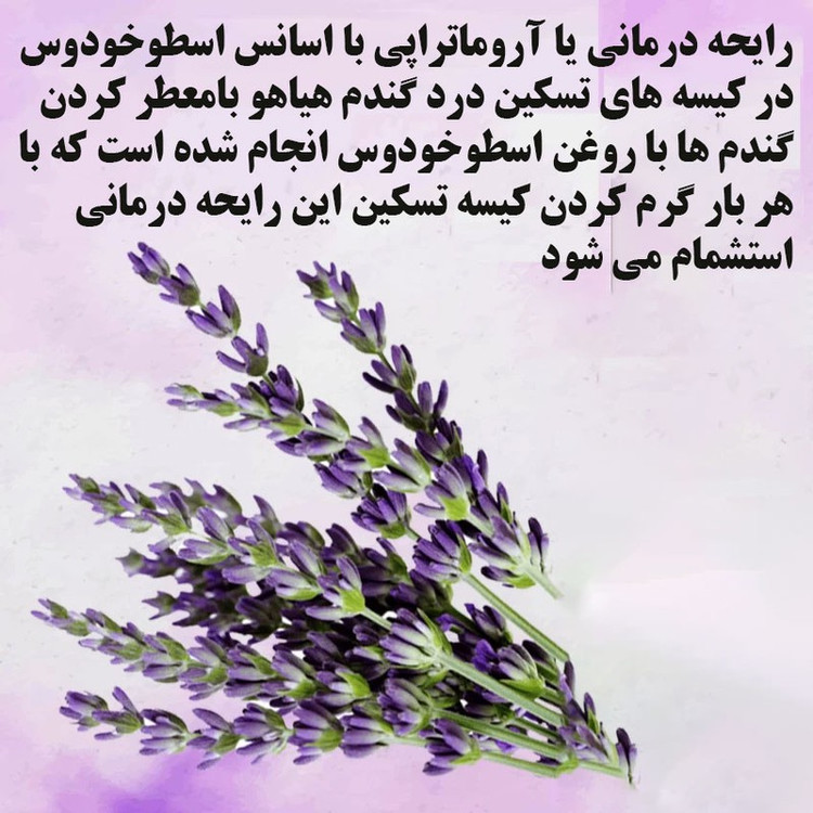 کیسه تسکین درد هیاهو مدل آروماتراپی اسانس اسطوخودوس کد Wheat-40x30-6