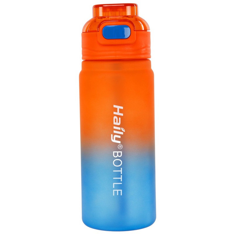قمقمه ورزشی مدل HAILY-BOTTLE گنجایش 900 لیتر