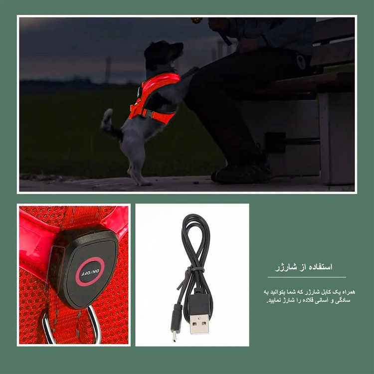 قلاده طرح چراغدار مدل FH01 RD